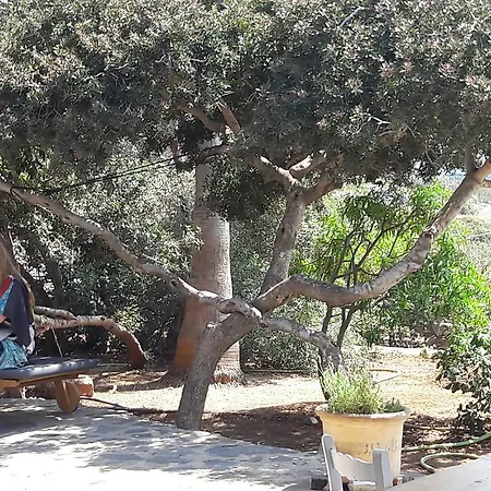 Island Apartment Elounda (Crete)